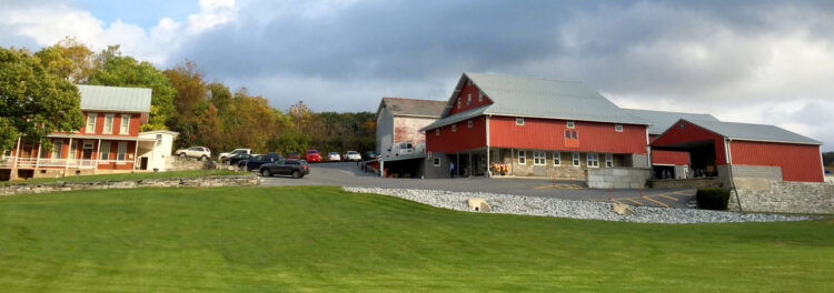 IMG_8870_edited_Cropped